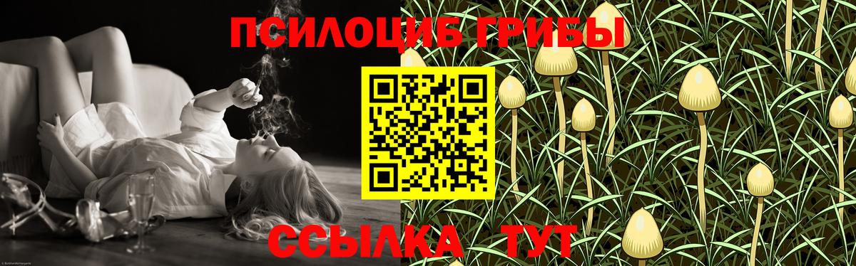 Псилоцибиновые грибы Psilocybe Аша