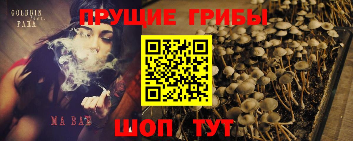 Галлюциногенные грибы прущие грибы  Вход с VPN  Аша 